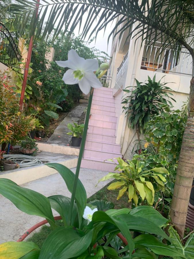 Soul Travellers Dagatan Guesthouse Badian Exterior photo
