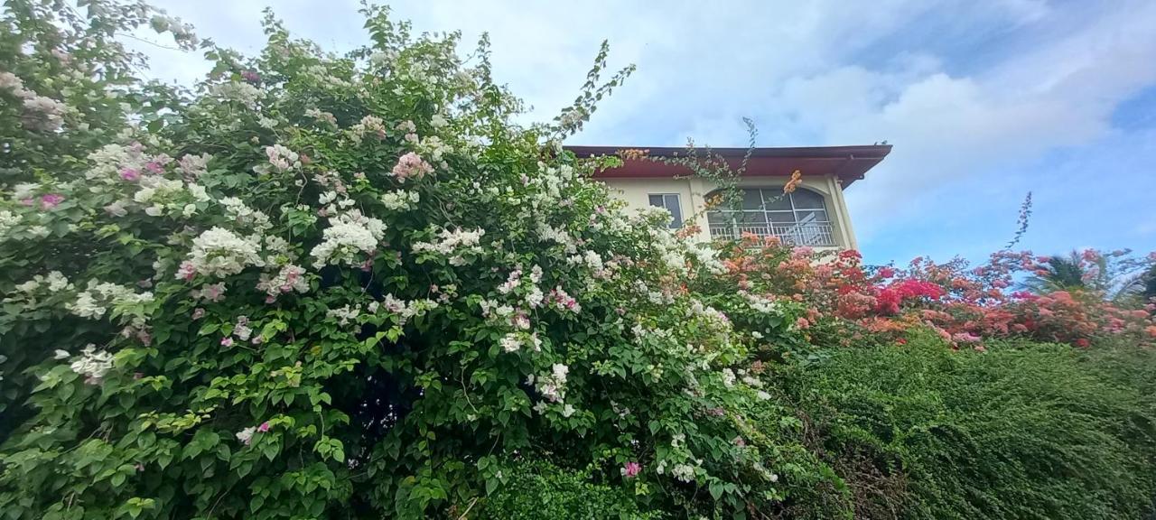 Soul Travellers Dagatan Guesthouse Badian Exterior photo